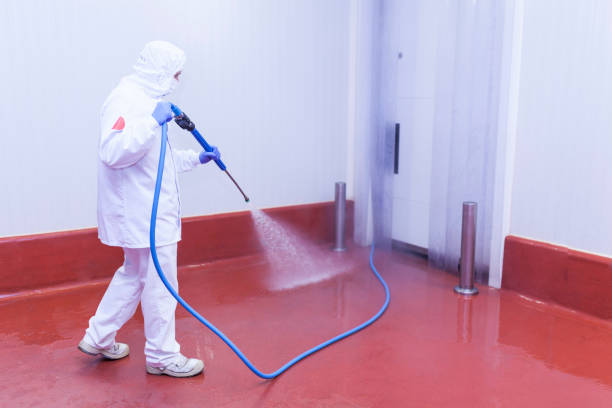 Best Driveway Pressure Washing  in Claude, TX